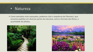 • Natureza
 Como exemplos mais avançados, podemos citar a sequência de Fibonacci, que
encontra padrões em diversas partes da natureza, como a formato das flores, a
quantidade de pétalas,
 