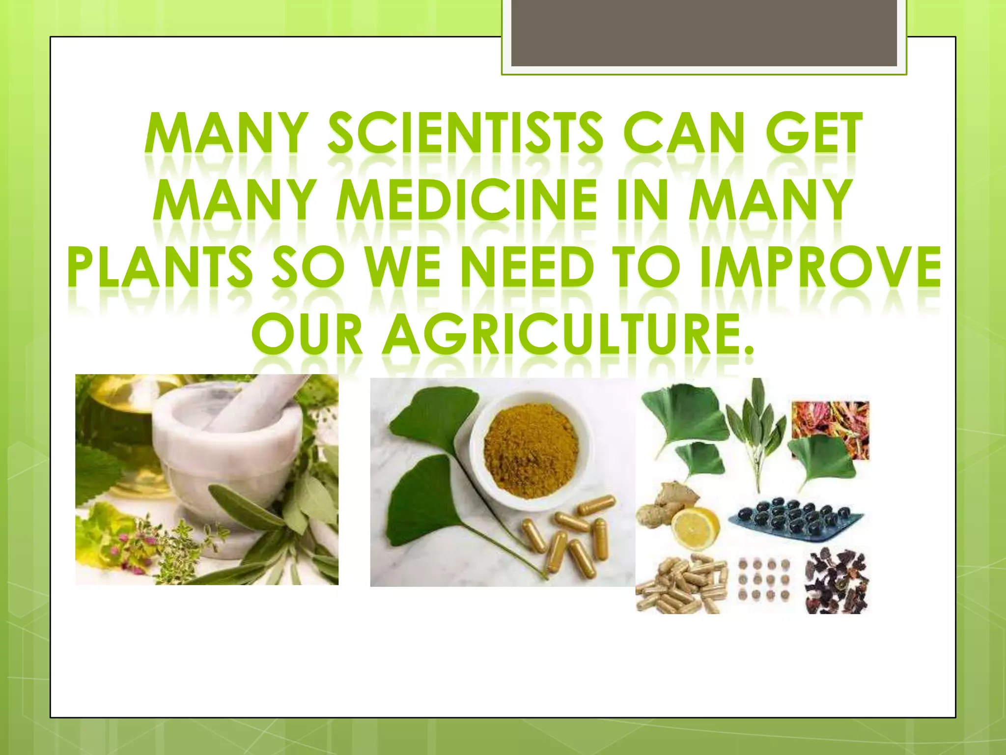 MANY SCIENTISTS CAN GET
MANY MEDICINE IN MANY
PLANTS SO WE NEED TO IMPROVE
OUR AGRICULTURE.