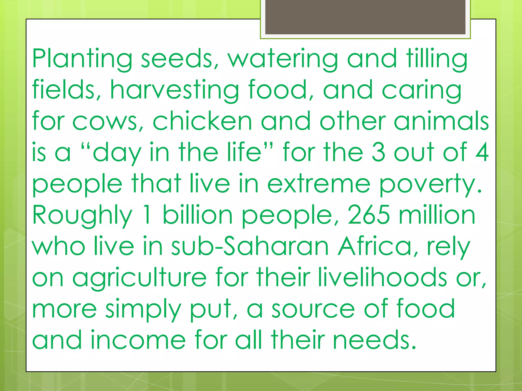 Planting seeds, watering and tilling
fields, harvesting food, and caring
for cows, chicken and other animals
is a “day in the life” for the 3 out of 4
people that live in extreme poverty.
Roughly 1 billion people, 265 million
who live in sub-Saharan Africa, rely
on agriculture for their livelihoods or,
more simply put, a source of food
and income for all their needs.