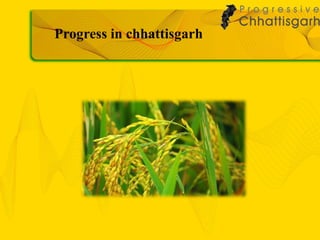 Progress in chhattisgarh
 