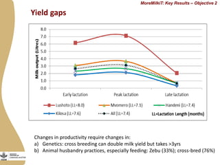 Progress in developing dairy market hubs for marginalised communities in Tanzania
