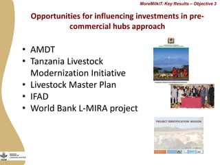 Progress in developing dairy market hubs for marginalised communities in Tanzania