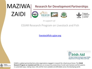 Progress in developing dairy market hubs for marginalised communities in Tanzania