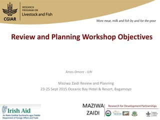 Progress in developing dairy market hubs for marginalised communities in Tanzania