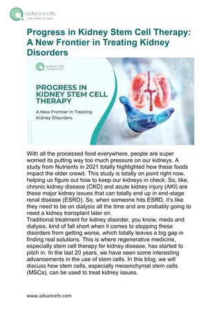 Progress in Kidney Stem Cell Therapy: A New Frontier in Treating Kidney ...