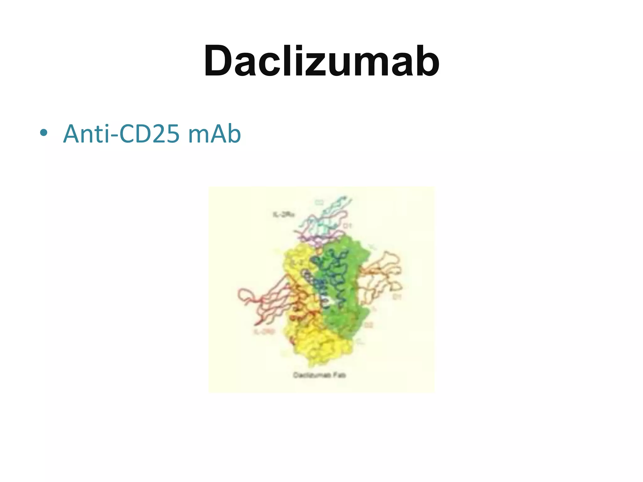 Daclizumab
• Anti-CD25 mAb
 