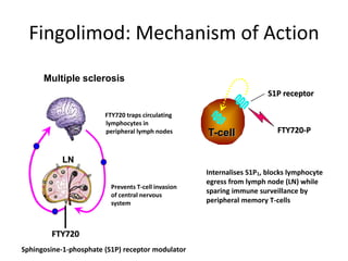 LN
T-cell FTY720-P
Prevents T-cell invasion
of central nervous
system
S1P receptor
Sphingosine-1-phosphate (S1P) receptor modulator
Internalises S1P1, blocks lymphocyte
egress from lymph node (LN) while
sparing immune surveillance by
peripheral memory T-cells
FTY720 traps circulating
lymphocytes in
peripheral lymph nodes
Multiple sclerosis
FTY720
Fingolimod: Mechanism of Action
 