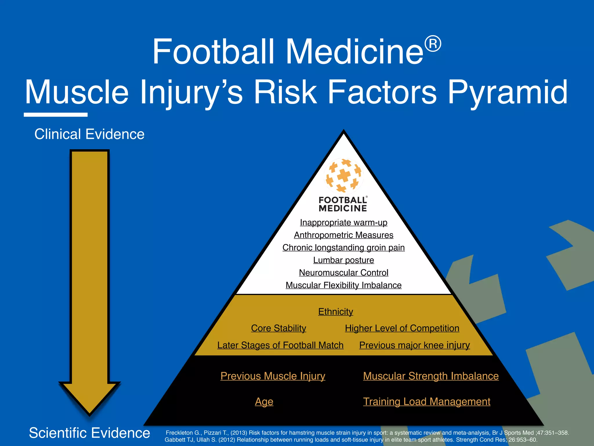 Progression criteria during a muscle injury rehabilitation in football ...