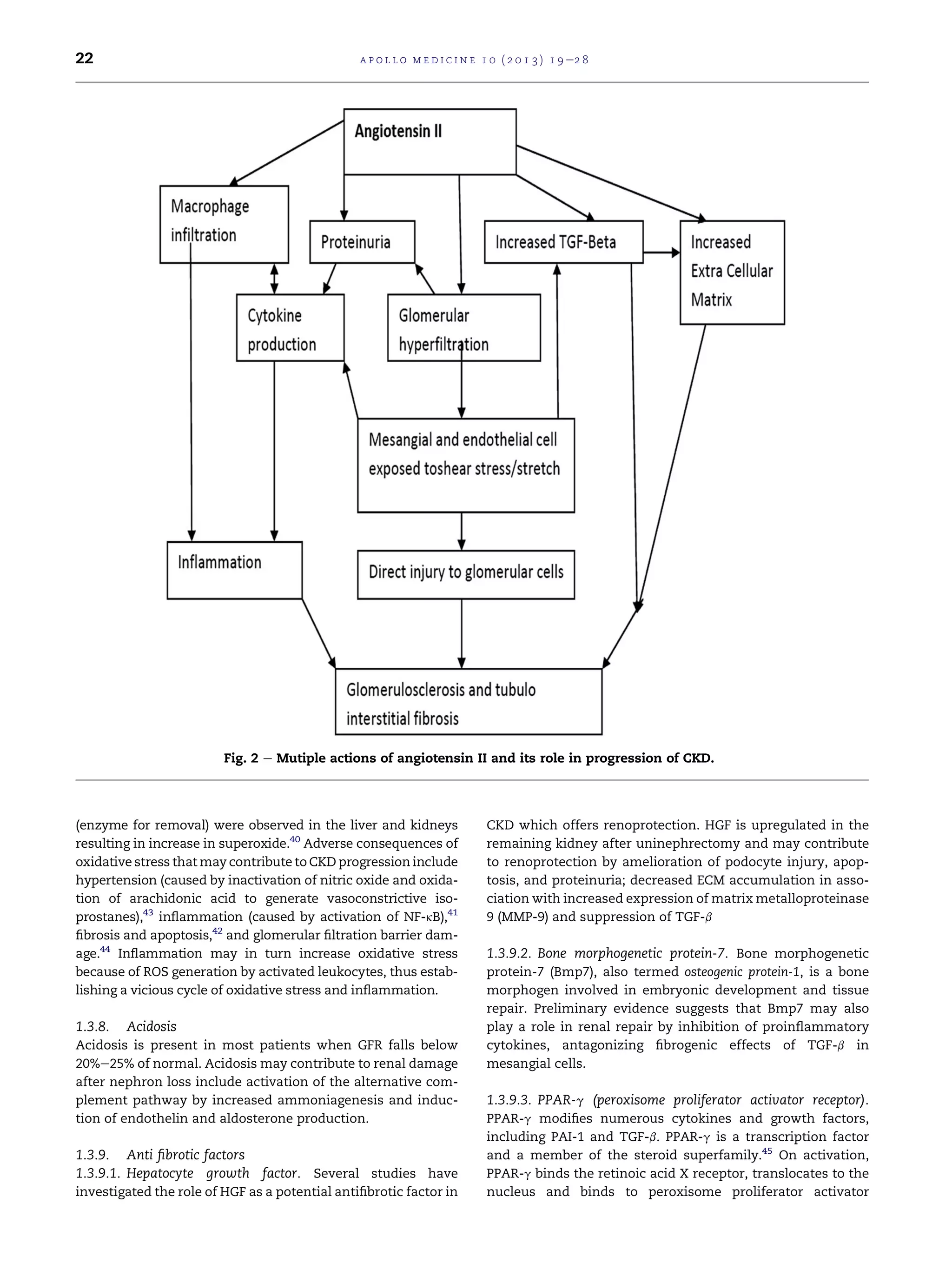 Progression of Chronic Kidney Disease: Mechanisms and Interventions in ...