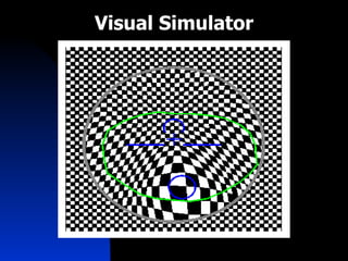 Visual Simulator 