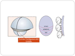 Curves Contiguous and
Umbilic
 