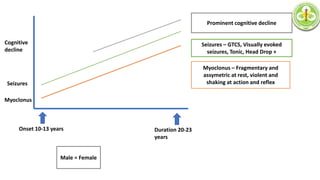 Myoclonus
Seizures
Cognitive
decline
Onset 10-13 years Duration 20-23
years
Myoclonus – Fragmentary and
assymetric at rest, violent and
shaking at action and reflex
Seizures – GTCS, Visually evoked
seizures, Tonic, Head Drop +
Male = Female
Prominent cognitive decline
 