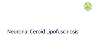 Neuronal Ceroid Lipofuscinosis
 