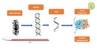 Small
molecules
ASO
Protein
Replacement
CRISPR
Gene therapy
 