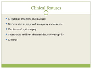 Clinical features
 Myoclonus, myopathy and spasticity
 Seizures, ataxia, peripheral neuropathy and dementia
 Deafness and optic atrophy
 Short stature and heart abnormalities, cardiomyopathy
 Lipomas
 
