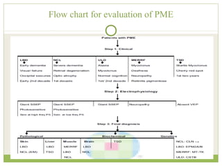 Flow chart for evaluation of PME
 