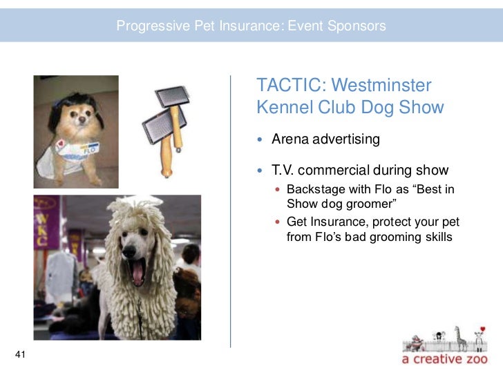 Dog Grooming Insurance Kennel Club Dog Grooming Insurance Kennel Club