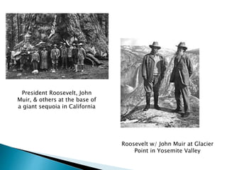 Roosevelt w/ John Muir at Glacier
Point in Yosemite Valley
President Roosevelt, John
Muir, & others at the base of
a giant sequoia in California
 