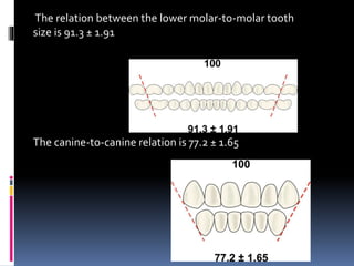 The relation between the lower molar-to-molar tooth 
size is 91.3 ± 1.91 
The canine-to-canine relation is 77.2 ± 1.65 
 