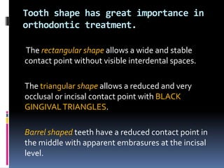 Tooth shape has great importance in 
orthodontic treatment. 
The rectangular shape allows a wide and stable 
contact point without visible interdental spaces. 
The triangular shape allows a reduced and very 
occlusal or incisal contact point with BLACK 
GINGIVAL TRIANGLES. 
Barrel shaped teeth have a reduced contact point in 
the middle with apparent embrasures at the incisal 
level. 
 