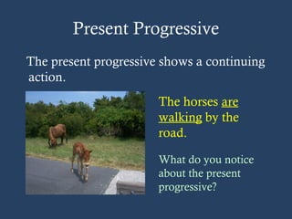 Present Progressive
The present progressive shows a continuing
action.
The horses are
walking by the
road.
What do you notice
about the present
progressive?
 