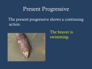 Present Progressive
The present progressive shows a continuing
action.
The beaver is
swimming.
 