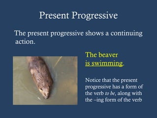 Present Progressive
The present progressive shows a continuing
action.
The beaver
is swimming.
Notice that the present
progressive has a form of
the verb to be, along with
the –ing form of the verb
 