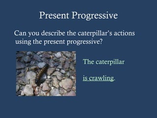 Present Progressive
Can you describe the caterpillar’s actions
using the present progressive?
The caterpillar
is crawling.
 