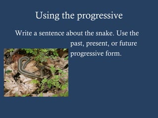 Using the progressive
Write a sentence about the snake. Use the
past, present, or future
progressive form.
 