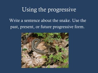 Using the progressive
Write a sentence about the snake. Use the
past, present, or future progressive form.
 