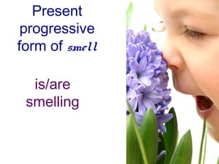 Present
 progressive
form of smell

  is/are
 smelling
 