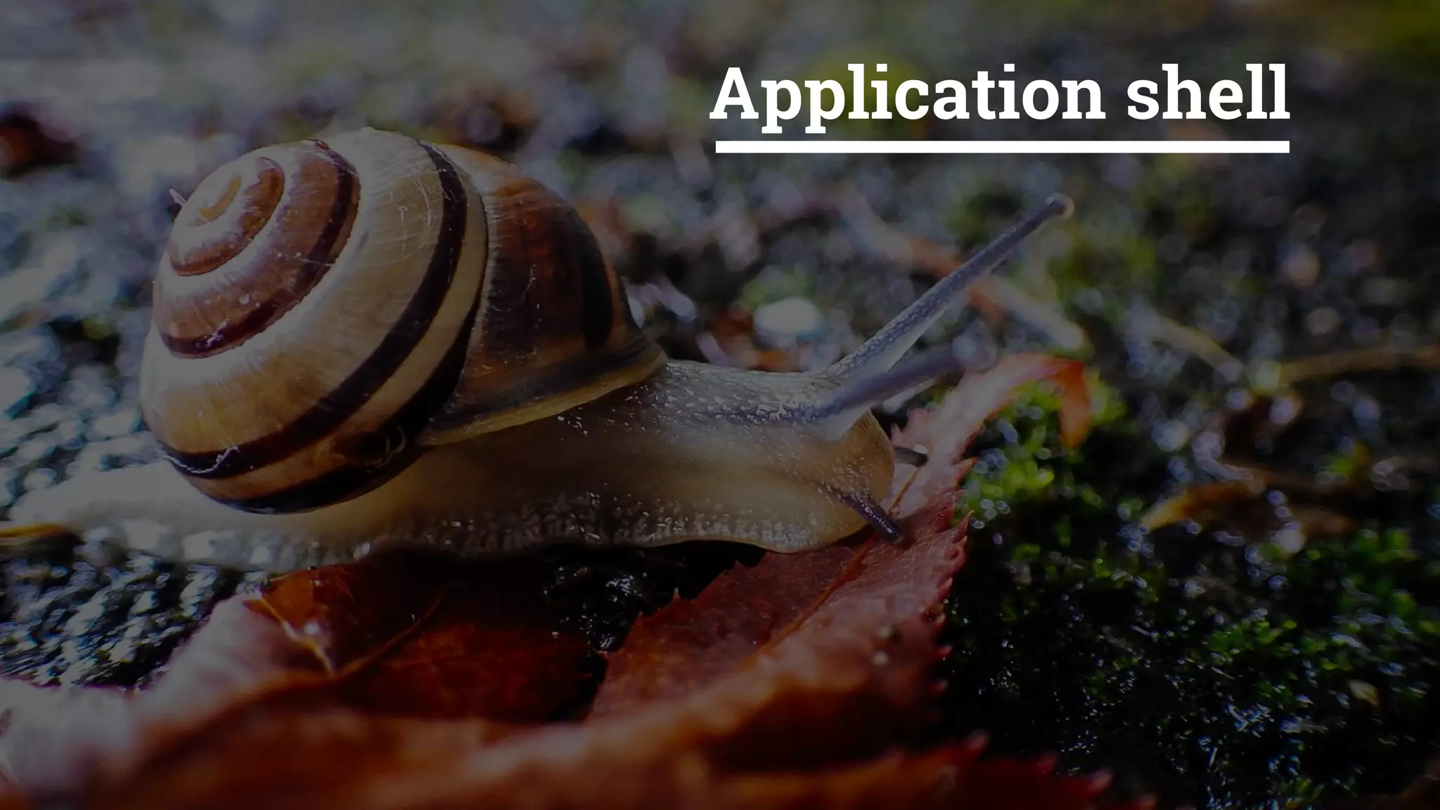 Application shell
 