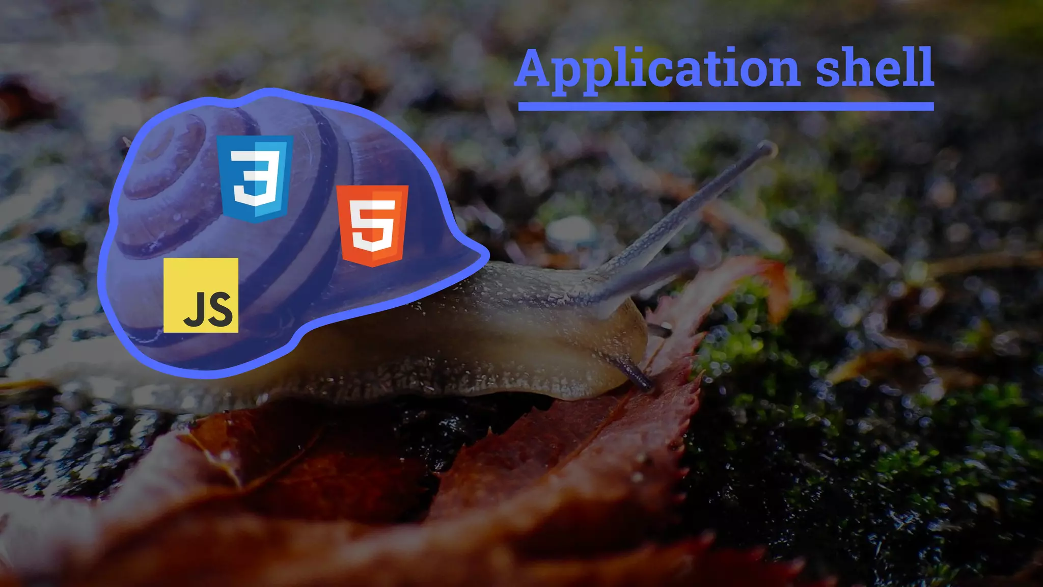 Application shell
 