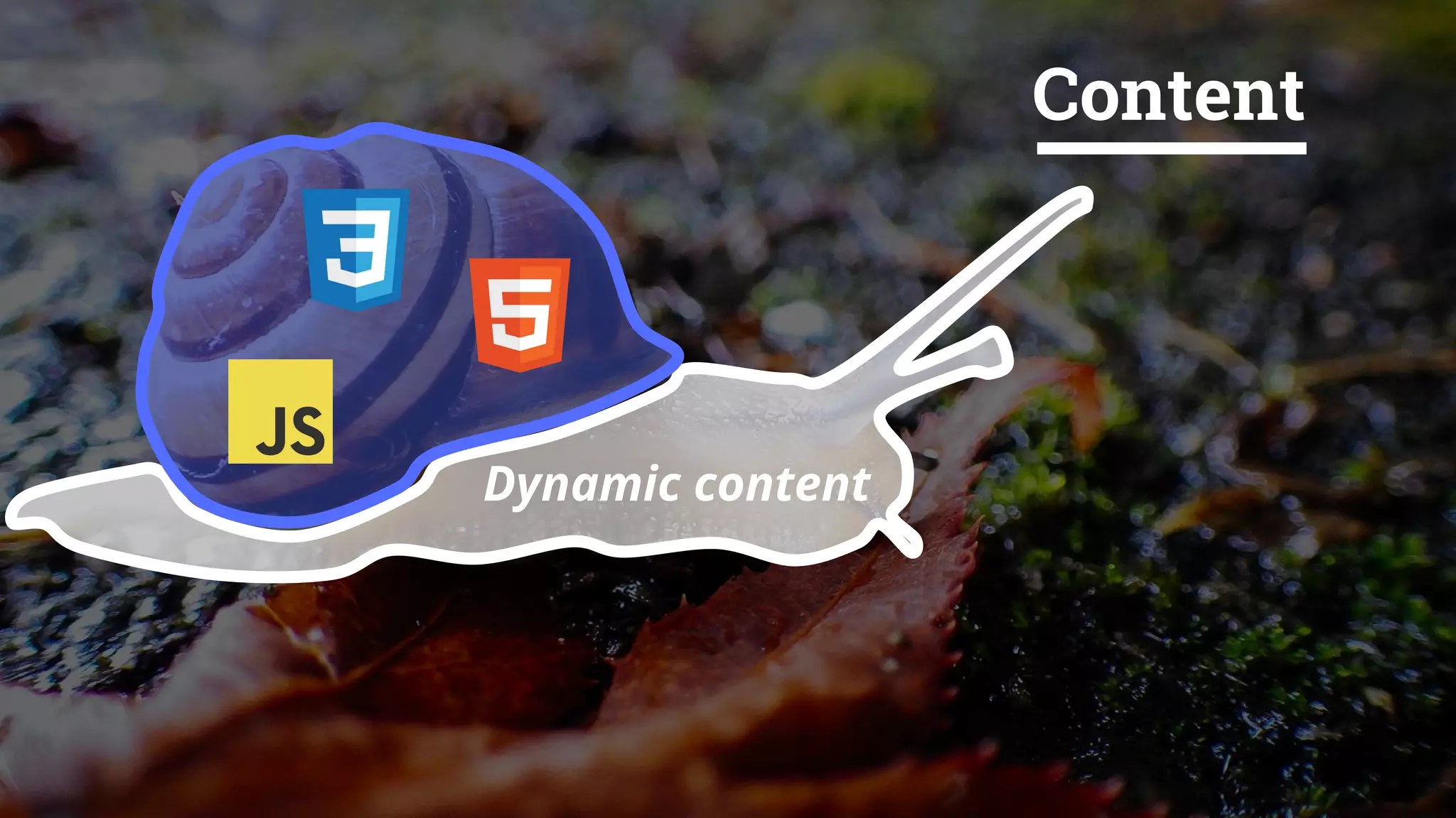 Content
Dynamic content
 