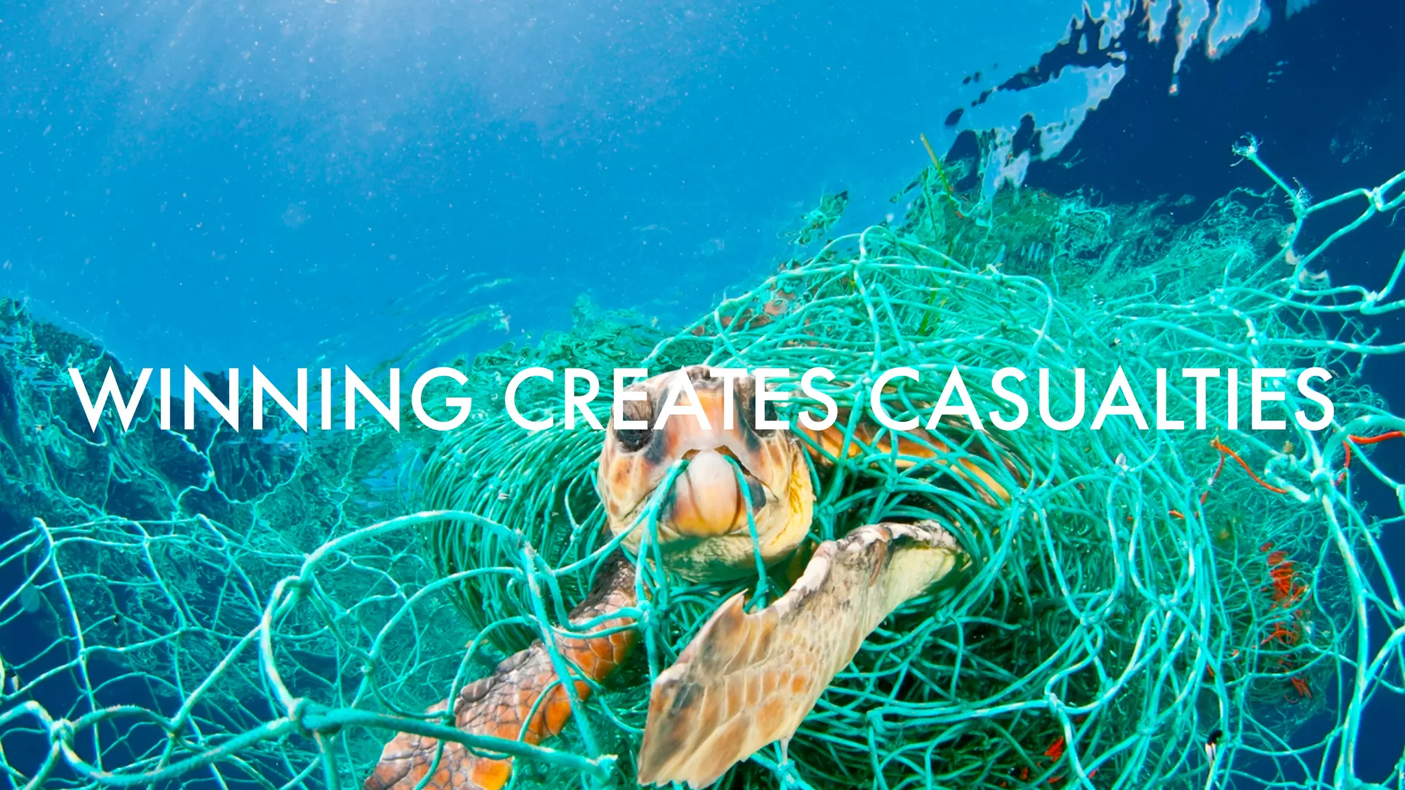 BY CATCHWINNING CREATES CASUALTIES