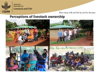 Gender activities in Maziwa Zaidi