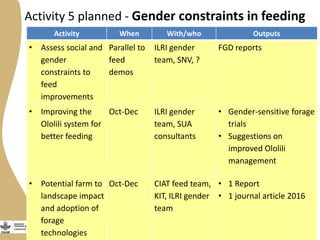 Gender activities in Maziwa Zaidi