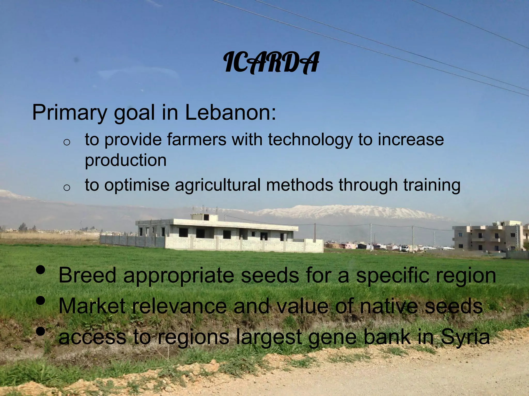 ICARDA
Primary goal in Lebanon:
   o    to provide farmers with technology to increase
        production
   o    to optimise agricultural methods through training




•  Breed appropriate seeds for a specific region
•  Market relevance and value of native seeds
•  access to regions largest gene bank in Syria
 