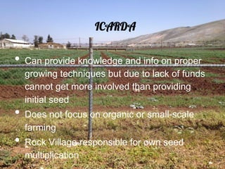 ICARDA

•  Can provide knowledge and info on proper
  growing techniques but due to lack of funds
  cannot get more involved than providing
  initial seed
•  Does not focus on organic or small-scale
  farming
•  Rock Village responsible for own seed
  multiplication
 
