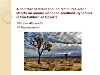 A contrast of direct and indirect nurse-plant
effects on annual plant and seedbank dynamics
in two Californian Deserts
Filazzola, Alessandro
1st Progress report
 