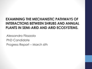 EXAMINING THE MECHANISTIC PATHWAYS OF
INTERACTIONS BETWEEN SHRUBS AND ANNUAL
PLANTS IN SEMI-ARID AND ARID ECOSYSTEMS.
Alessandro Filazzola
PhD Candidate
Progress Report – March 6th
 