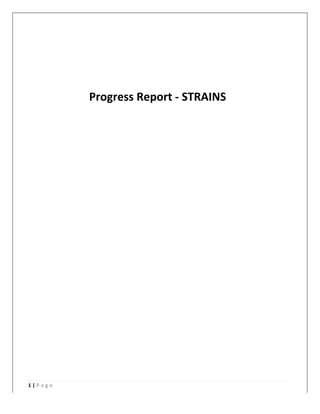 1	|	P a g e 	
	
	
	
Progress	Report	-	STRAINS	
	
 