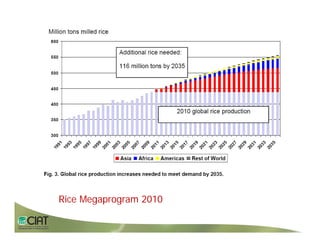 Progress rice breeding_lac
