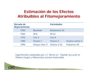 Progress rice breeding_lac