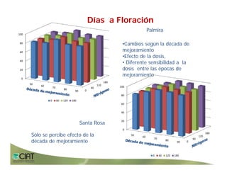 Progress rice breeding_lac
