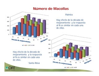 Progress rice breeding_lac