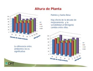 Progress rice breeding_lac