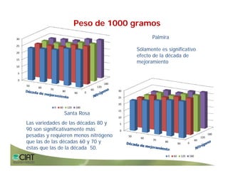 Progress rice breeding_lac
