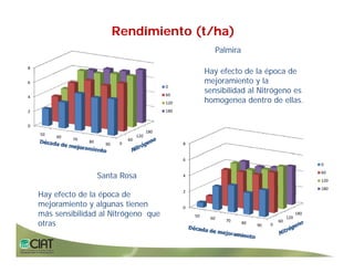 Progress rice breeding_lac