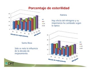 Progress rice breeding_lac